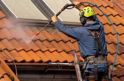 Démoussage et hydrofuge de toiture à Dainville